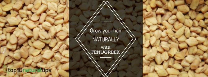 fenugreek for hair growth naturally 