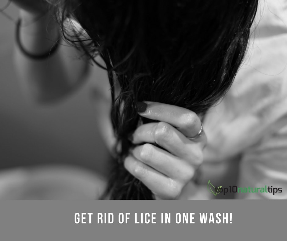 get rid of lice naturally